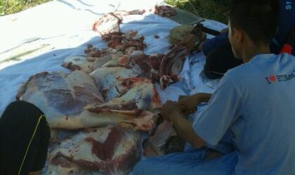 Stikes Ramaikan Idul Adha dengan Berkurban