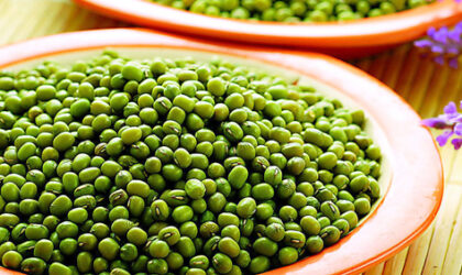 Manfaat Kacang Hijau Bagi Kesehatan Tubuh