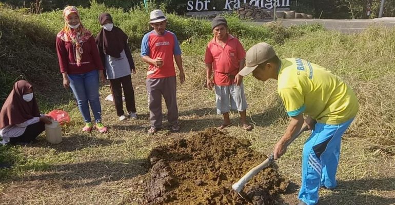 Inovasi Pengolahan Kotoran Sapi – Tim PKMM